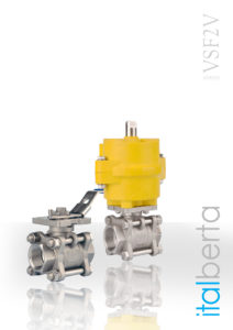 ITALBERTA VSF2V VALVES